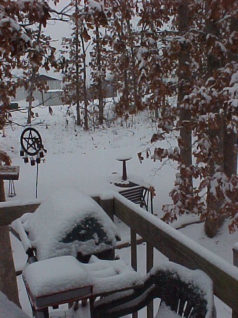 View from the front door