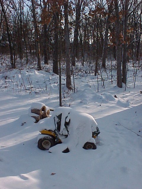 Nope, no cuttin' the grass today!